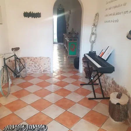 L'ulivo *